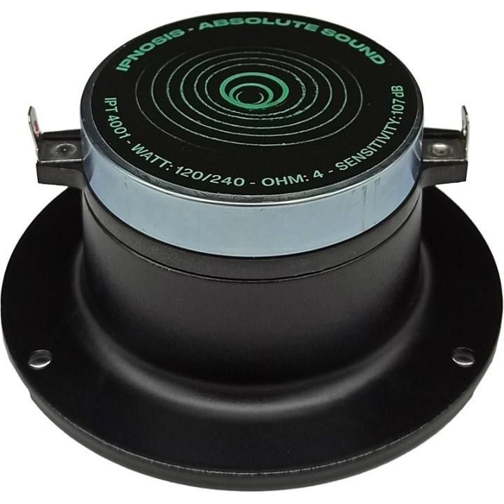 IPT 4001