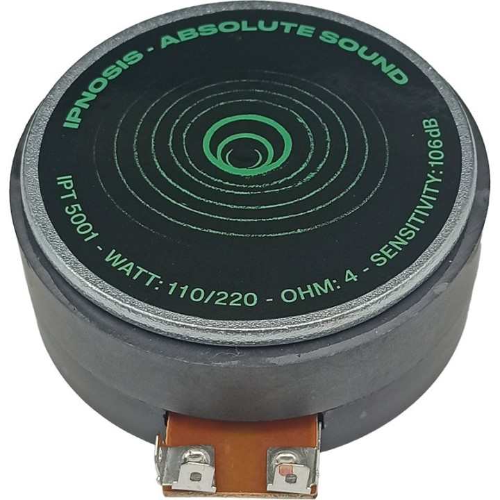 IPT 5001