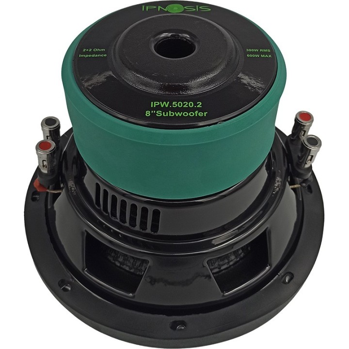 IPW 5020.2